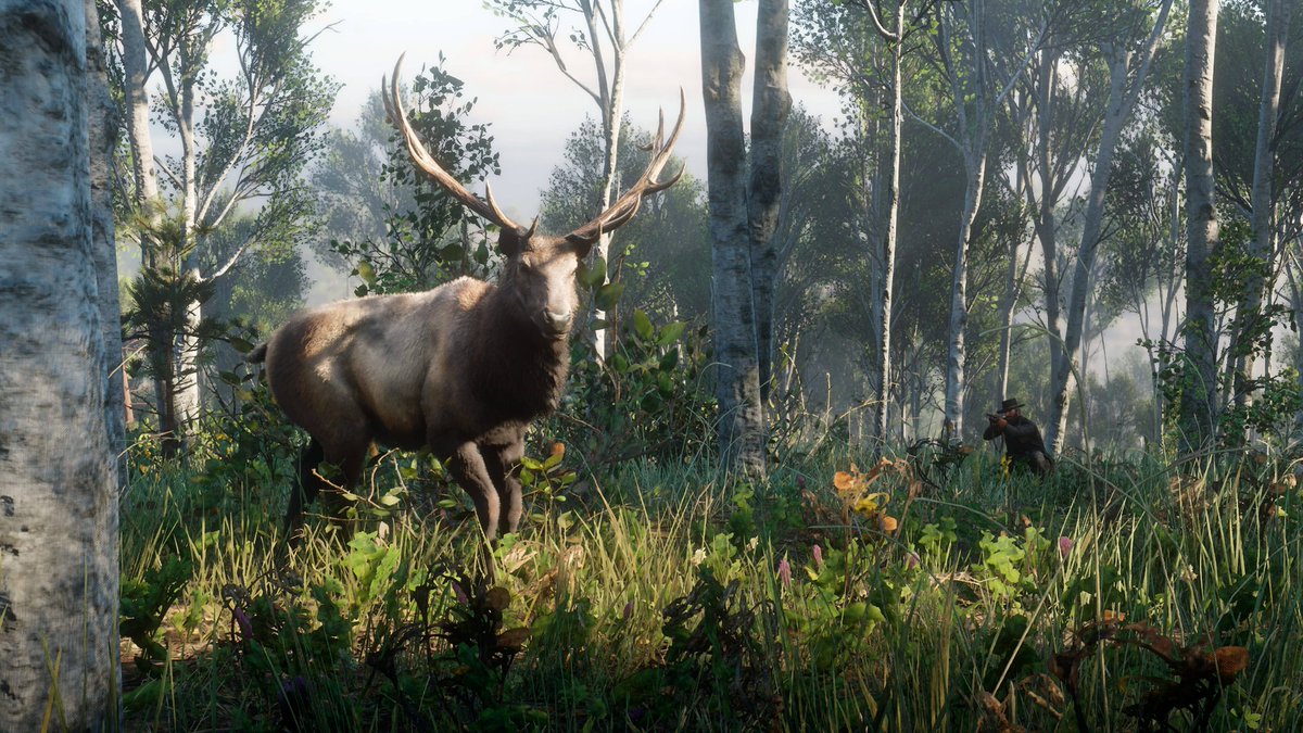 Centralgtabr's tweet photo. Mais algumas screenshots do marketing de RDR 2 para PROVAR que a Rockstar SEMPRE entrega aquilo que mostra! 🔥

GTA 6 vai ser GIGANTE! https://t.co/Yi8YCqbcqH