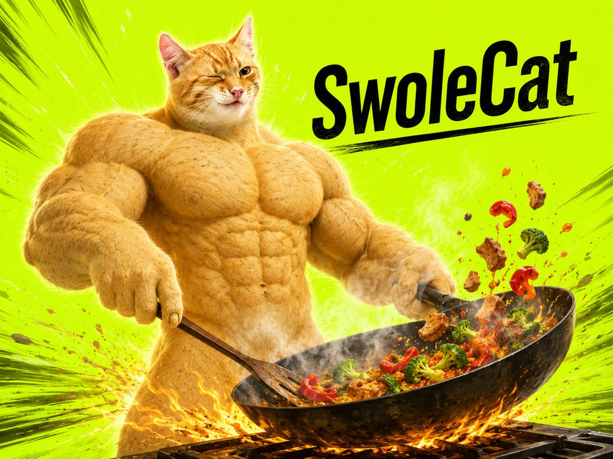 SwoleCat tweet media