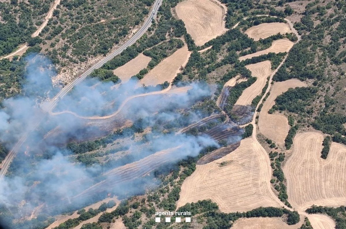 agentsruralscat's tweet photo. 🔴 Incendi forestal a Camarasa (la Noguera) que afecta una superfície d'unes 7 hectàrees prop del nucli de Fontllonga, segons dades provisionals d'#AgentsRurals. 

El foc ha entrat a l'espai natural protegit de Montsec de Rubies.

 📷 Imatge del #GSAcar (16.00 hores) https://t.co/Ia5rVB8fz2