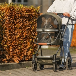 dierenwinkell's tweet photo. Trixie Hondenbuggy Maximaal 22 kg Olijfgroen 56X100X101 cm
👉   https://t.co/uzyYR15zSJ

#honden #buggy #hondenbuggy #dogs #dierenwinkel #dierenvoeding #morgeninhuis https://t.co/3a0RE8CnuD