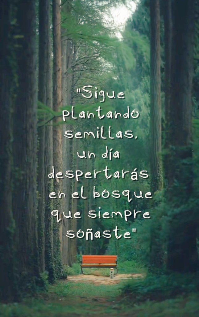 IadronDsuspiros's tweet photo. https://t.co/L1id9F72JY