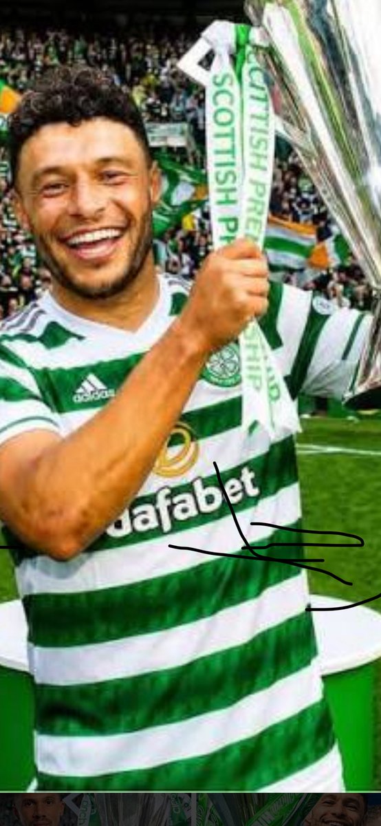MickStorm420's tweet photo. @Gingerb81787364 @sloanybhoy7 @paddypower This Ox? https://t.co/ec654dDR2u