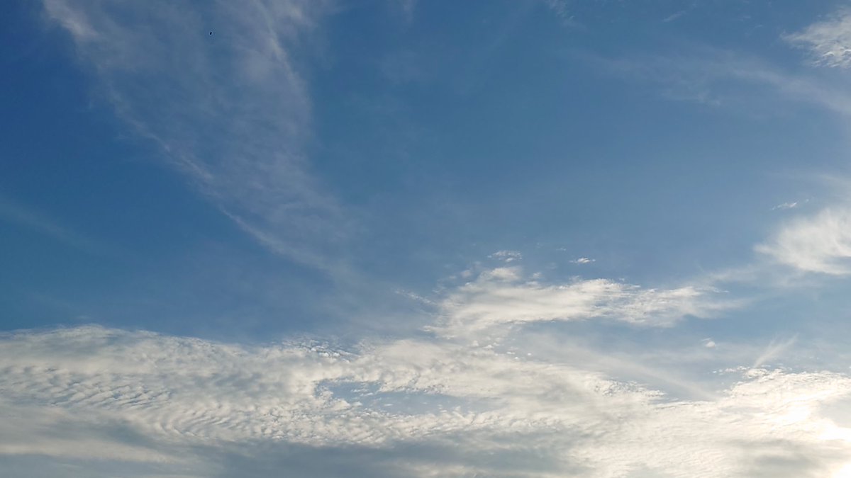 dolphine_20's tweet photo. 7月11日土曜日、晴れ。
18時過ぎの空を見上げたら、雲が羽ばたいているようで、思わずカシャ📷
最近忙しくて、ゆっくりと空を眺めていなかったかも？
19時頃の空にも細かい雲がたくさん流れ、夕陽の光が黄金色に輝いていた。
#いまそら
#イマソラ
#雲が好き
#空が好き https://t.co/hPqjjLxPlU