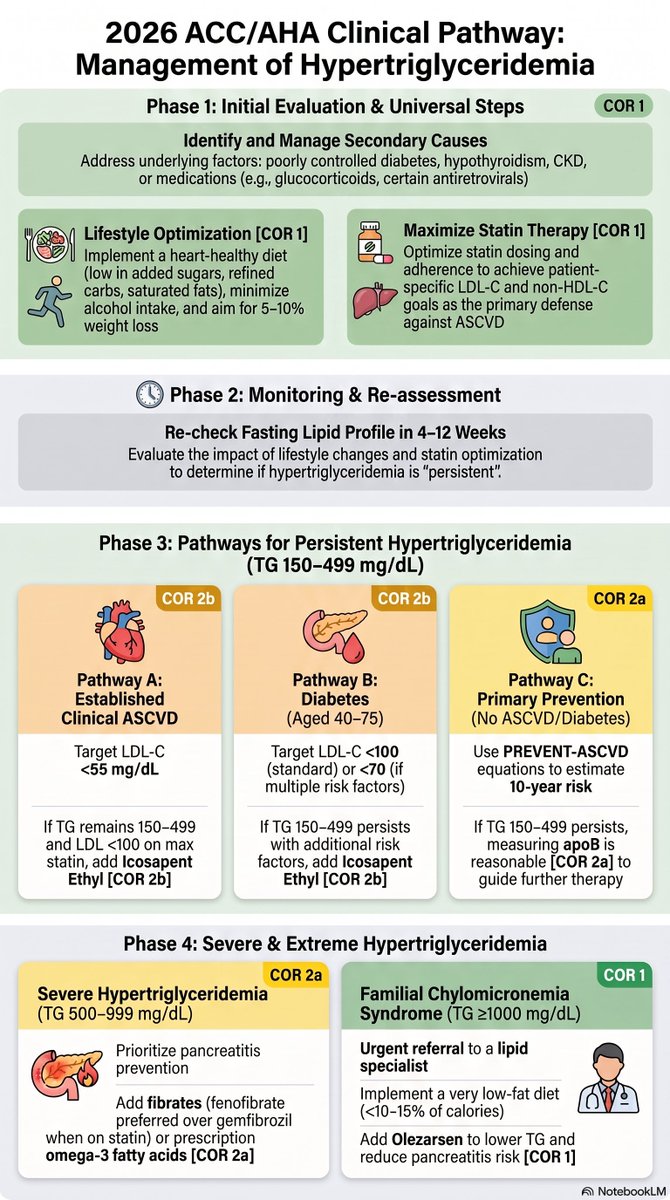 sscpInMedpsn's tweet photo. ☕ Grab a cup of coffee and explore this visual summary of the 2026 ACC/AHA Guideline on Dyslipidemia Management.

This infographic highlights the major patient groups, key treatment pathways, and the latest medication updates to help translate the guideline into everyday clinical practice.

Whether you're a clinician, pharmacist, resident, or student, we hope this serves as a practical, quick-reference resource for evidence-based lipid management.

Happy reading!😍