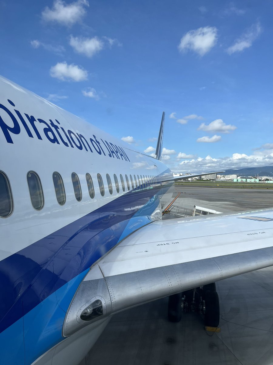 Trip_fun_plane's tweet photo. ✈️Now Boarding✈️
とある用事で大阪へ‼️

NH13 HND-ITM

B787-10 JA983A

4ヶ月ぶりの伊丹へ‼️
429席がほぼ満席になるほどの搭乗率😳

事前座席指定できると窓側行けるけど
シンプルだときつそうだなという印象です
#ANA #大阪 #伊丹 #B787 https://t.co/EHa95M9ZjT