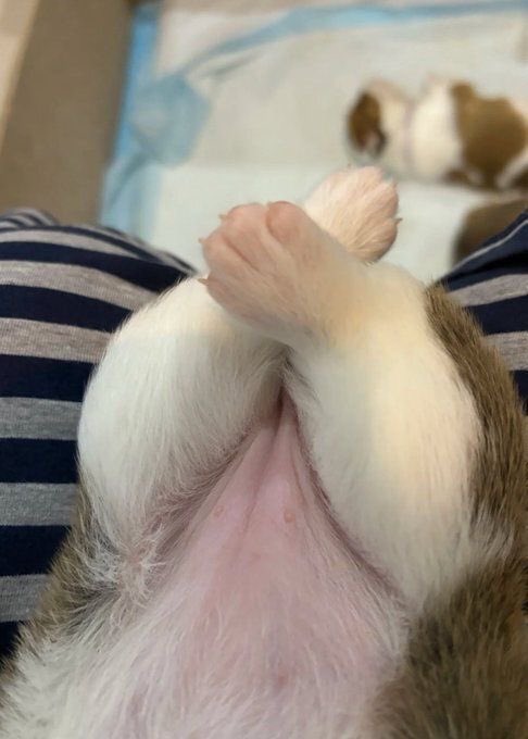 twaniimals's tweet photo. https://t.co/uARNTYgB2l