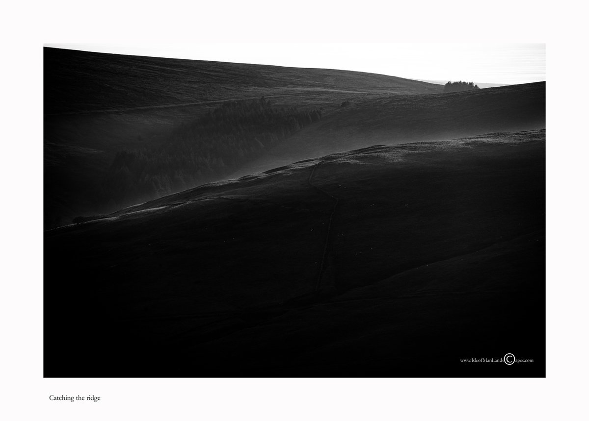 ColinBRussell's tweet photo. 'Catching the ridge' - evening sunlight catching the ridge in contrast to the shadow. Shot with the intention that it might have something as a black and white. #IsleofMan #IsleofManLandscapes #manxNature https://t.co/OOKgTiw9XO