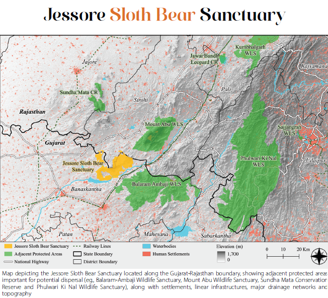 slothbear2026's tweet photo. 🐻Sloth Bear Sanctuaries of India | Part 1: Jessore Sloth Bear Sanctuary

📍Established: 1978
📍Location: Banaskantha district, Gujarat

Situated in the southernmost part of the Aravalli landscape, Jessore Sloth Bear Sanctuary protects an important dry forest ecosystem for Sloth Bears. Its rugged hills, rocky outcrops, granite boulders, and dry deciduous–thorn forests provide suitable habitat and natural shelters for the species.

The sanctuary also plays a vital role in maintaining landscape connectivity with neighbouring protected areas across Gujarat and Rajasthan, supporting wildlife movement beyond its boundaries.

Like many protected areas, Jessore faces conservation challenges from settlements, linear infrastructure, and habitat fragmentation, highlighting the importance of landscape-level conservation and habitat connectivity.

Source: Conservation Status Report of Sloth Bear Sanctuaries in India

#ProjectSlothBear #WIIProjectSlothBear #JessoreSlothBearSanctuary #SlothBear #WildlifeConservation #ProtectedAreas #Gujarat

@moefcc @CentralIfs @NationalCAMPA @wii_india @SACONCoimbatore @wii_eiacp @rameshpandeyifs @GobindsagarBha1 @RuchiBadola2 @CRamesh_WII @BivashPand34733 @Kramesh95 @amitwii @UpmaManral @ashishjangid22 @avinashyadv95 @utkarsh41995  @kaushikforwild @Hairypotter0777  
@Sindhoora_2001 @Suraj_Chauhan31 @niranjanKv2770 @Kavyak0204 @MitaliJadh34762