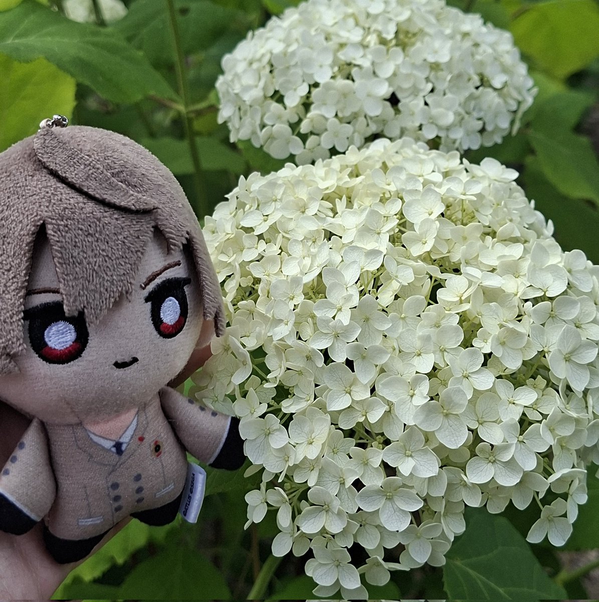 shuakeweed's tweet photo. goro and flowers https://t.co/rEQhvVTx6y