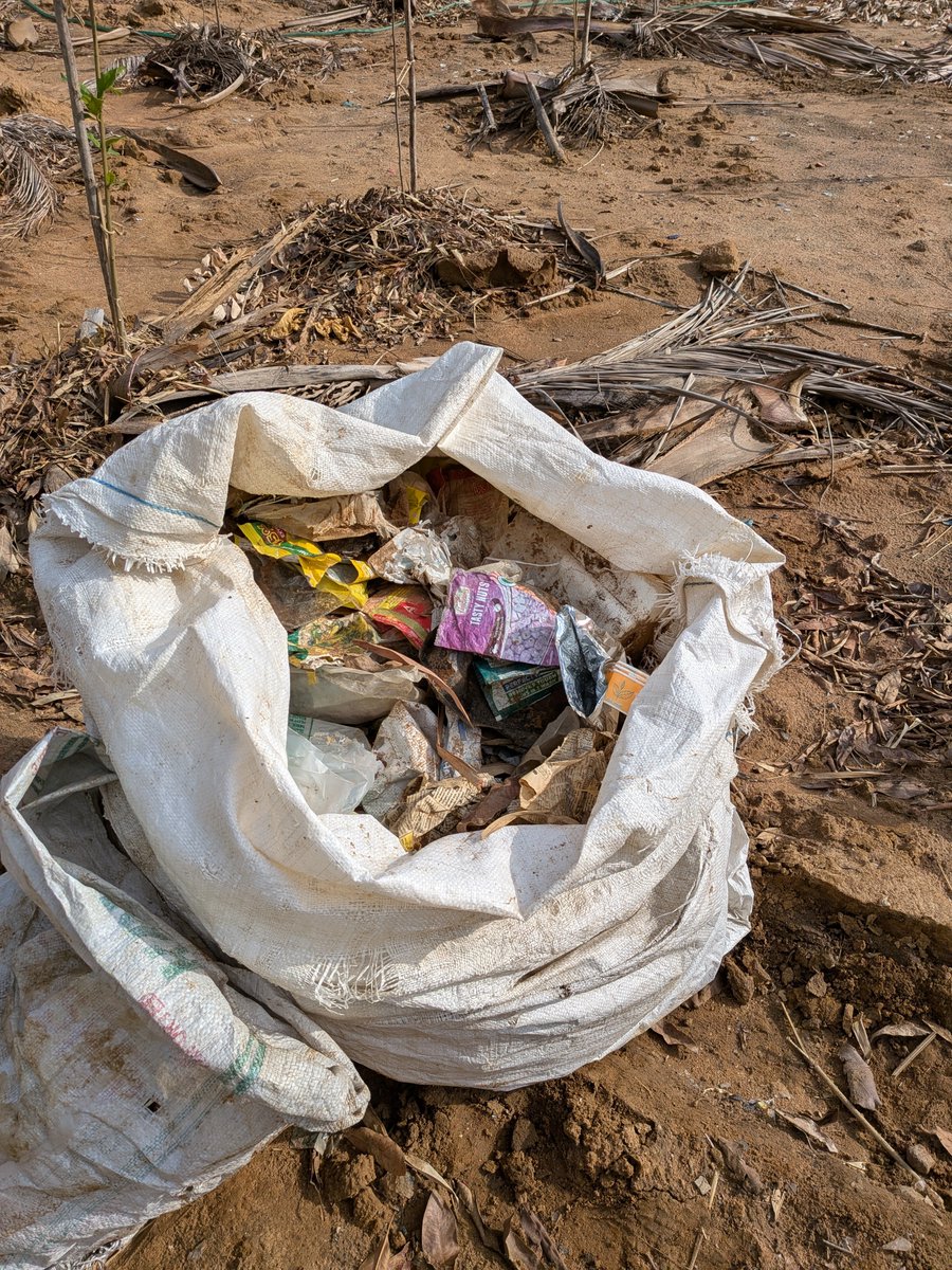 SreeSuryamohan's tweet photo. Thanks to our Suresh anna and Srini anna for freeing the trees at RRP Vanam this morning
Plastic covers were choking the trees. Our work this morning was very important.
#ARAN #FreeTheTrees #RRPVanam https://t.co/Cec0ko91p2