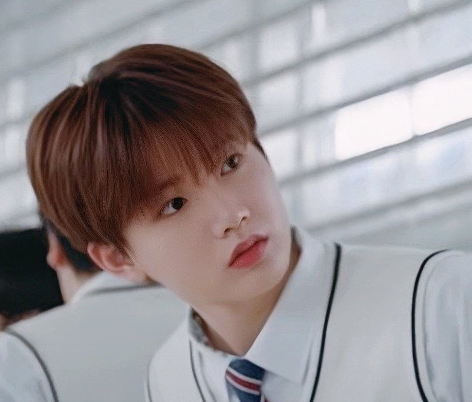 뿡빵 tweet media