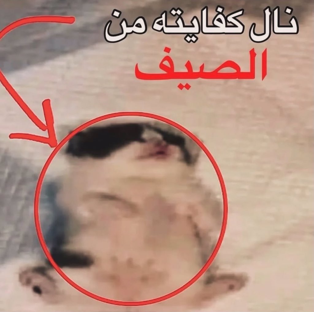 LVL 1 | Just " عزيز " tweet media