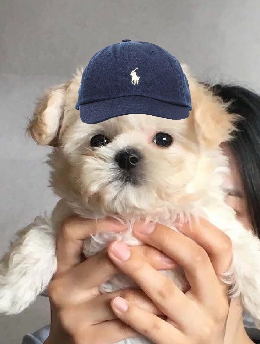 winterbearjm's tweet photo. สำเนาถูกต้ม สัญญาตลอดชีพ https://t.co/6ZzEVjgGS8
