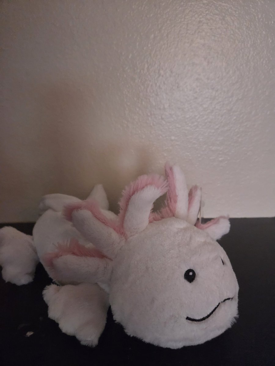 Toxifin's tweet photo. Another new friend,  this one can be microwaved, or Frozen https://t.co/6DMOL3GbO9