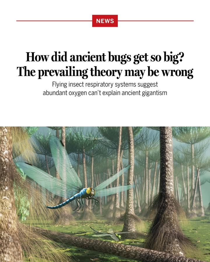 News from Science tweet media