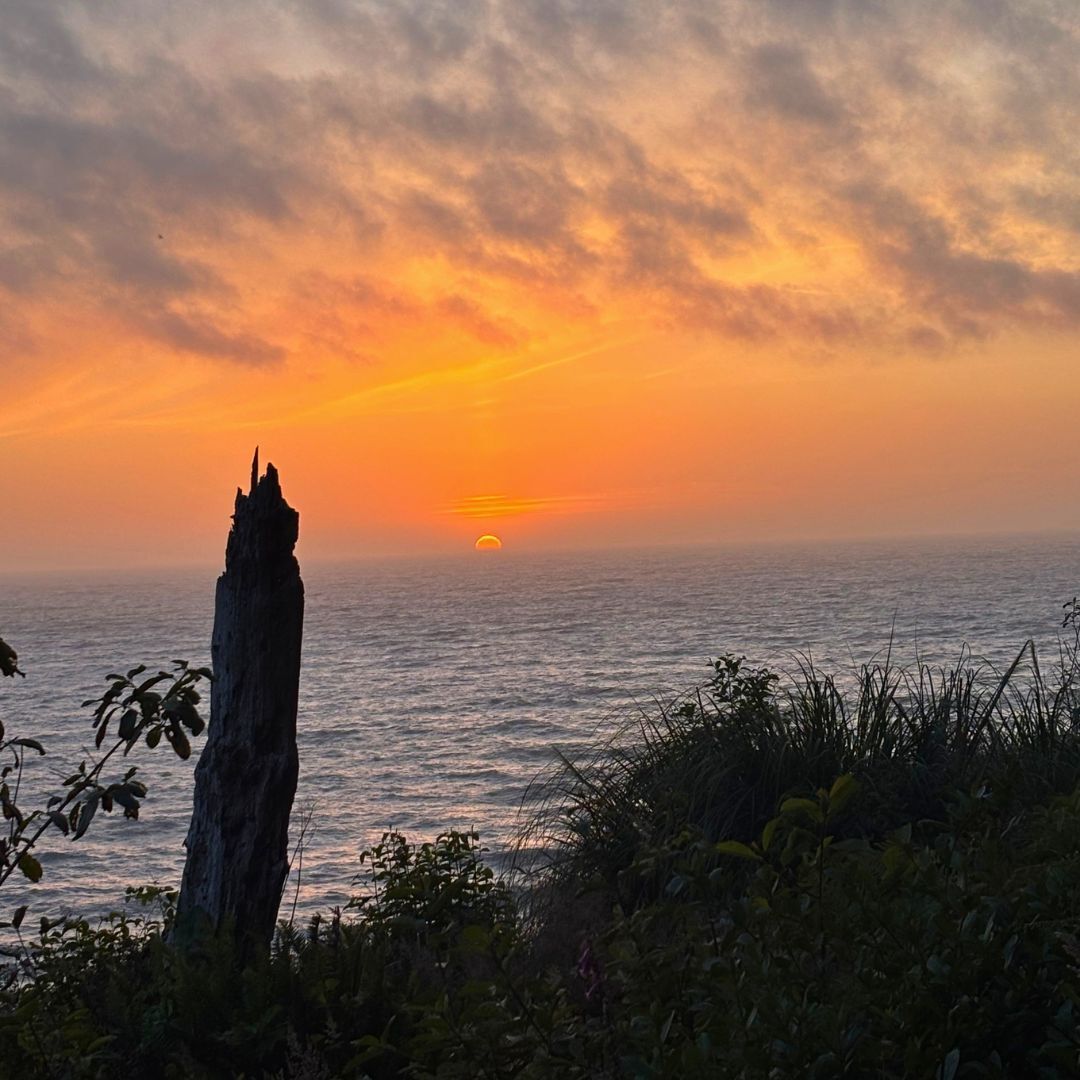 CA State Parks tweet media