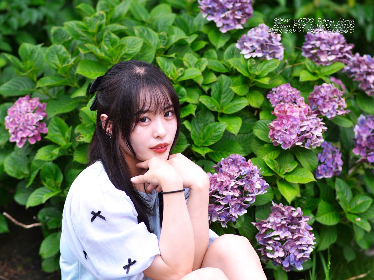 泡沫ちなつ さん①20260621(青海南ふとう公園他) （@same_89021
