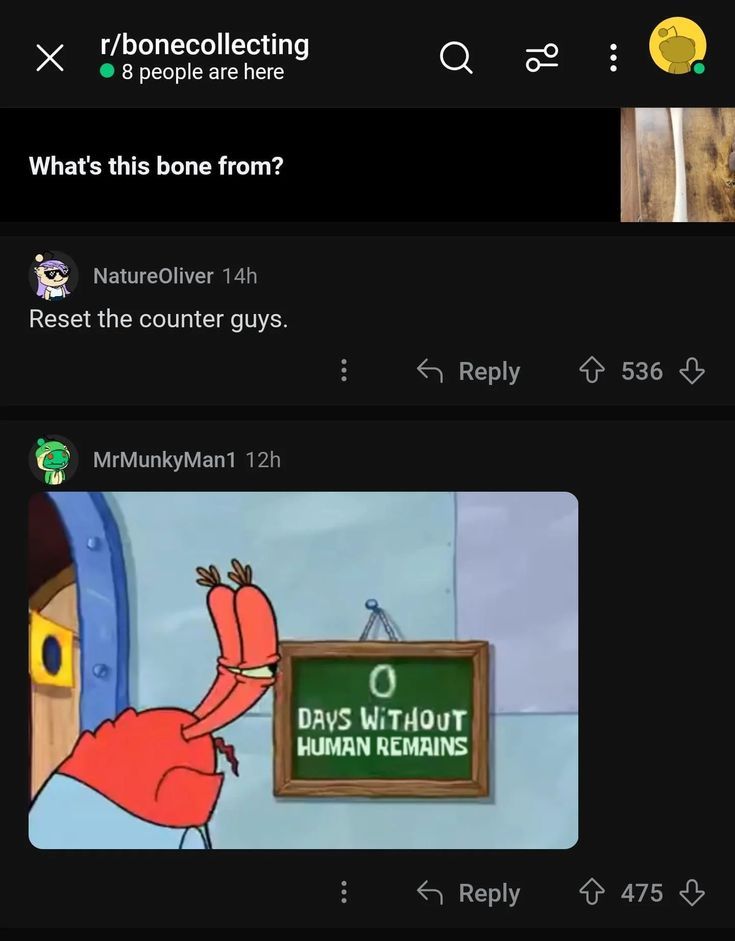 memes in my folder tweet media