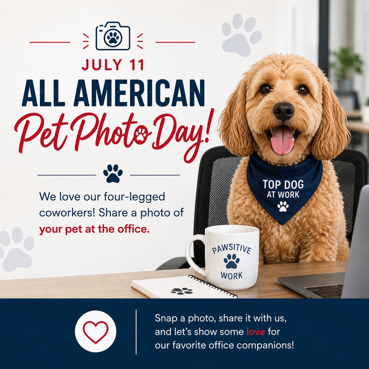OpxPlus's tweet photo. Happy All American Pet Photo Day! 🐾
Our four-legged coworkers make workdays a little brighter. Whether they're greeting clients, keeping you company, or joining video calls, we'd love to see them! Share a photo of your office pet or work-from-home companion in the comments https://t.co/h9NE8yytLV