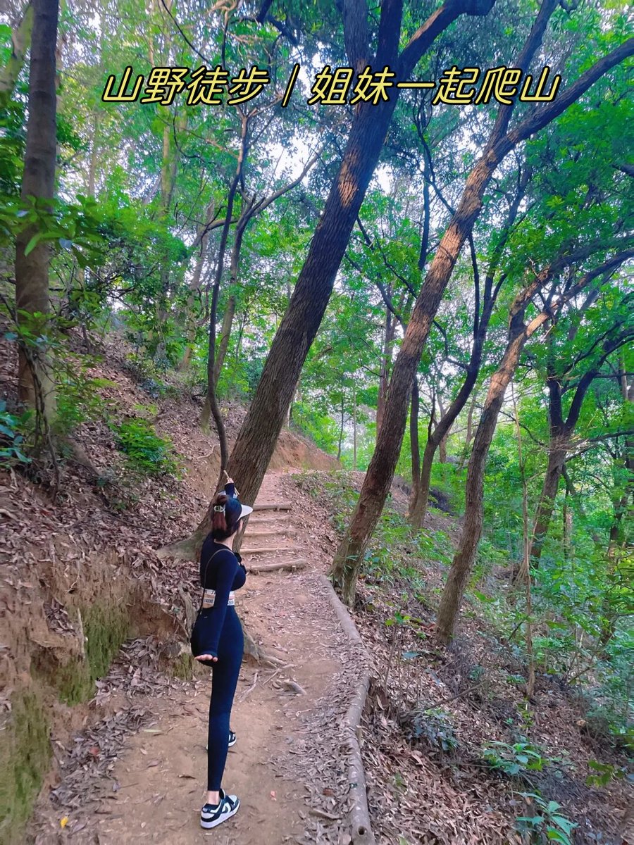 eurht51386626's tweet photo. Your daily 10-minute walk boosts heart health, improves sleep, and lifts mood—small steps = big wellness wins! https://t.co/SHFjHX5uSn
