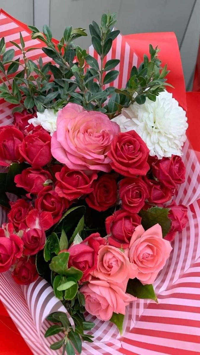 Flowers7005's tweet photo. https://t.co/6x5Y8gzj8E