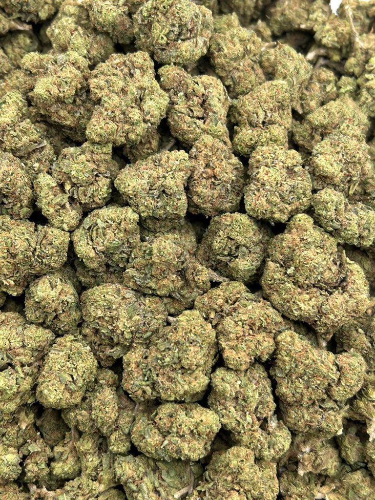 budboxpuff_'s tweet photo. Candy Gas 33

https://t.co/KnwpUDHuB4 https://t.co/VbrExseTMZ