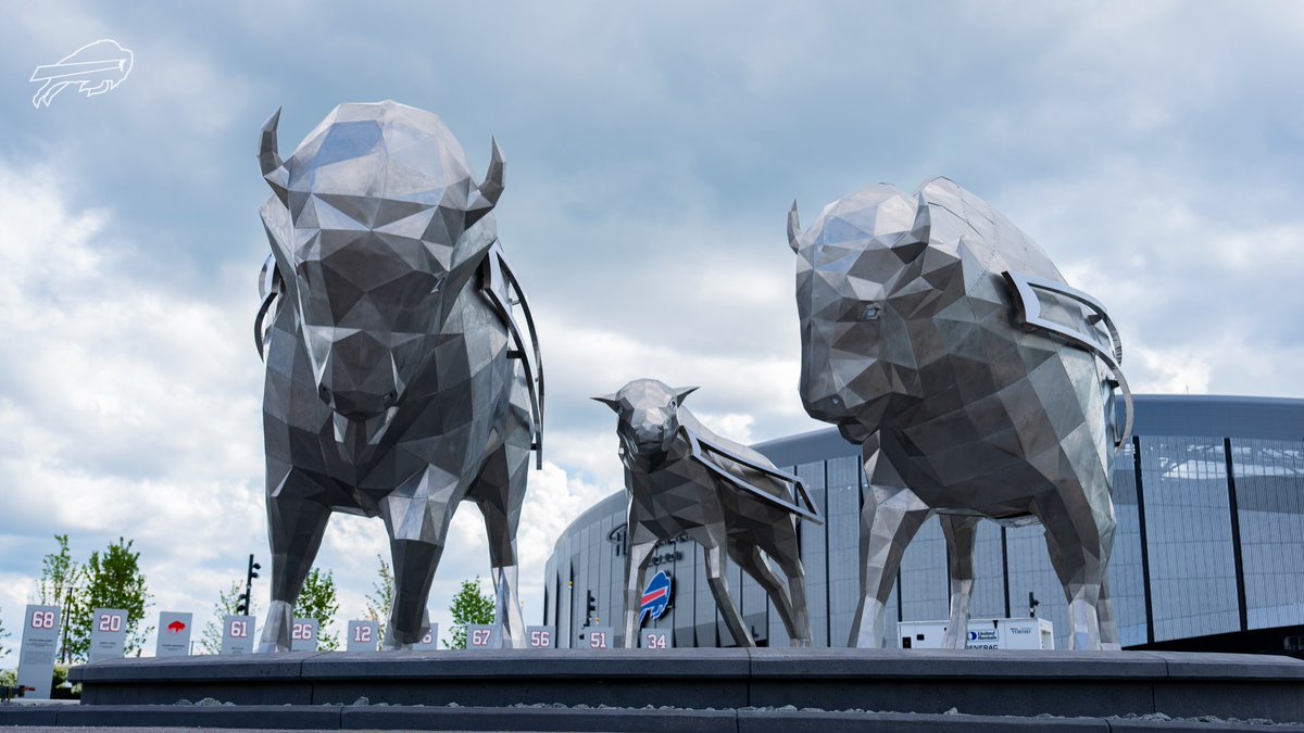BuffaloBills's tweet photo. The herd is here. 🦬 https://t.co/KzeIaLipeg
