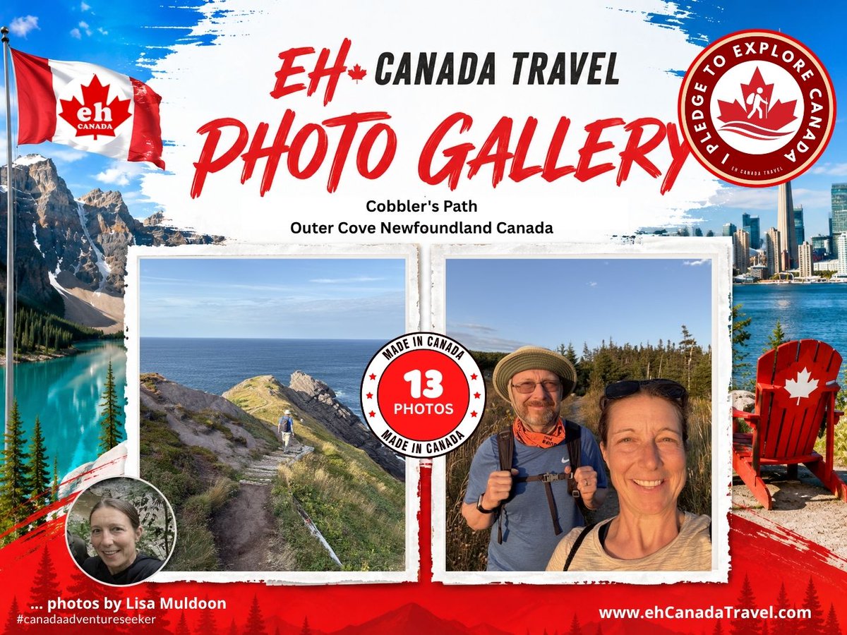 ehCanadaTravel's tweet photo. Ever argue with a seagull over the best view in Canada?

View Photo Gallery: https://t.co/dXbwp5qyjZ

#canadaadventureseeker #ehcanadatravel #experiencecanada #canadaphoto #newfoundland #eastcoasttrail #outercove #hikingcanada #atlanticcanada #travelnewfoundland https://t.co/qfqSasGitc