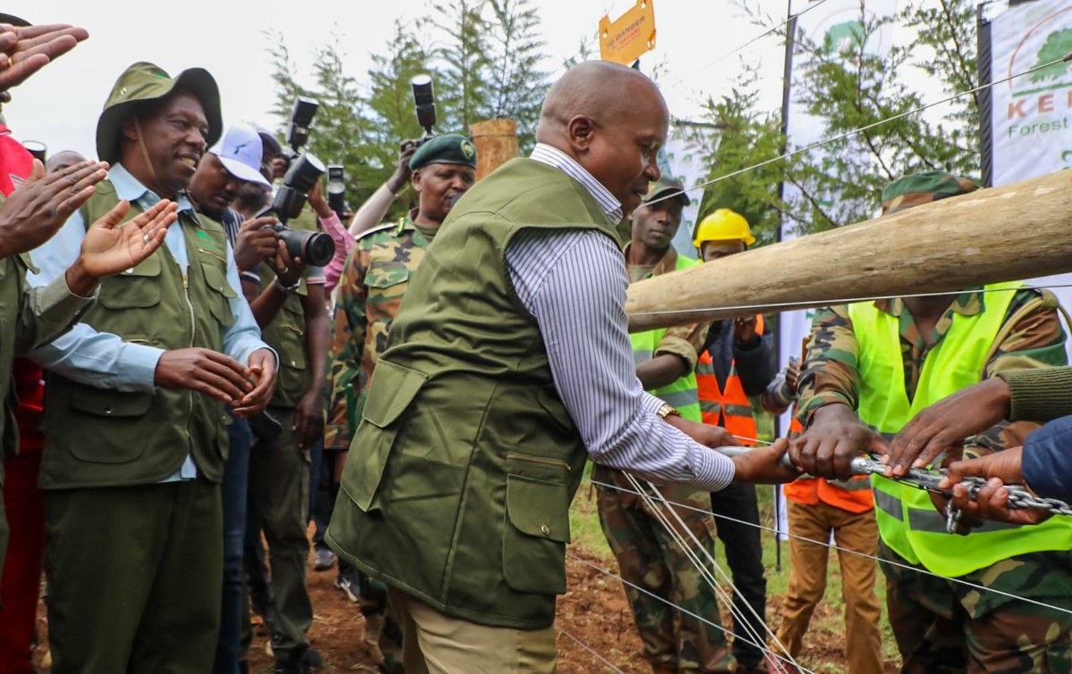 KeForestService's tweet photo. Deputy President Kindiki Leads Launch of 270km Kaptagat Electric Fence 

Deputy President Prof. @_KithureKindiki, today led the launch of the 273-kilometre electric fence around the Kaptagat Forest Ecosystem during the 10th Edition of the Kaptagat Integrated Conservation Programme (@Kaptagat_icp) at Penon Forest Station, marking a major milestone in the protection of one of Kenya's most important water towers.

Constructed by the Kenya Forest Service (KFS), the electric fence will strengthen the conservation of the Kaptagat Forest Ecosystem by curbing illegal activities, reducing human-wildlife conflict and safeguarding the forest's rich biodiversity and vital water catchment functions.

Kaptagat Forest plays a critical role in climate change mitigation through carbon sequestration, supports biodiversity conservation, regulates water resources and underpins agriculture, energy production and livelihoods. Its protection is key to the Government's 15 Billion Tree Growing Programme and the national target of attaining 30 percent tree cover by 2032.

As the institution mandated to conserve, develop, sustainably manage and protect Kenya's forests, KFS continues to implement strategic interventions that secure forest ecosystems while advancing ecosystem restoration and sustainable community livelihoods.

The Deputy President also officially launched the commercial cultivation of cocoa, an agroforestry initiative expected to increase tree cover while providing farmers with a sustainable source of income.

Speaking during the event, Prof. Kindiki reaffirmed the Government's commitment to protecting Kenya's forests as a foundation for environmental sustainability, water security and economic growth, and commended KFS, development partners and local communities for their continued efforts in restoring the Kaptagat ecosystem.

The event was hosted by the Kenya Forest Service, led by @CCF_Kenya, Mr. Alex Lemarkoko, and attended by Cabinet Secretary for Environment, Climate Change and Forestry @DeboraBarasa, Principal Secretary for @Forestry__Kenya, @GMugambi_CBS, Patron of the Kaptagat Integrated Conservation Programme and Principal Secretary to the National Treasury  @DrChrisKiptoo, alongside other national and county leaders, development partners and conservation stakeholders.