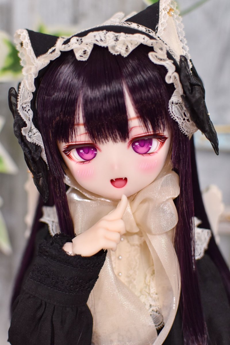 ◆ めっちゃん様、専用です。　◆ 宣伝失礼します！ 10番くんと01番ちゃんのおうち探しを始めました✨ 7