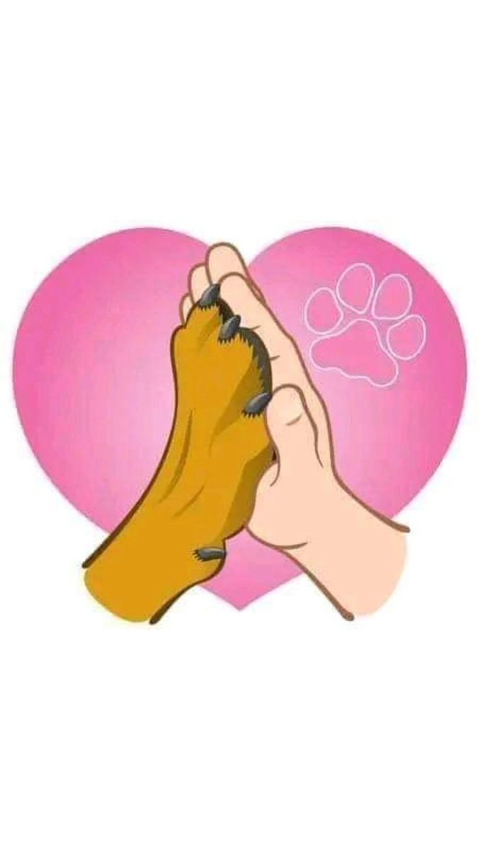 knottykim18's tweet photo. Our story is written in fur 🐾♥️ https://t.co/YqXdjgh28x