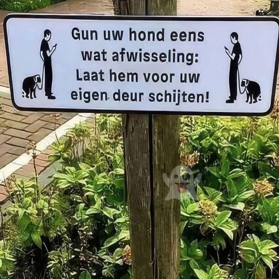 Wereldreiziger6's tweet photo. https://t.co/5uFyCA76yg