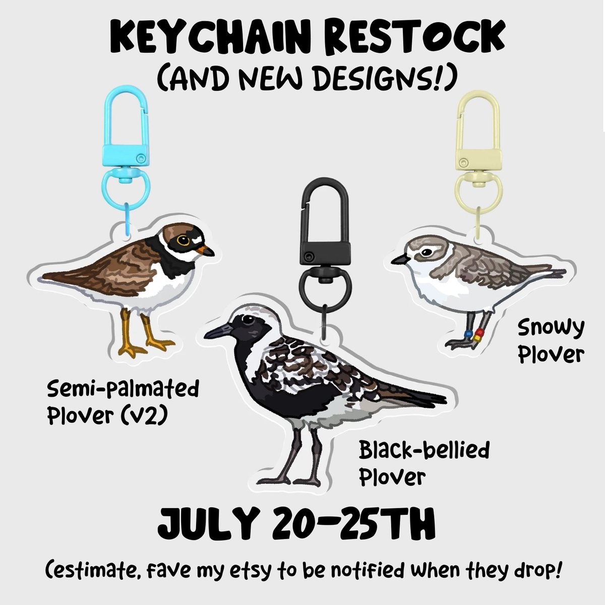 MainelyNature's tweet photo. I genuinely can't believe I'm almost completely sold out of keychains already. Seriously, thank you all!!! I'm having the time of my life designing the lil guys and I'm so glad they're making people happy. Here's what I have planned!
#digitalart #birding #artist #shorebird https://t.co/tdsmyZNzRq