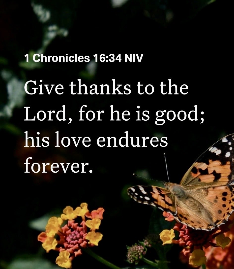 RideWMinaj1's tweet photo. Blessed Saturday Barbz and Queen @NICKIMINAJ. I wish you all a wonderful day. 
Amid all the noise and chaos, know your worth, protect your peace, and remember you are a part of the most resilient, creative GagCity families worldwide. 🎀🙏🏾🩷💕

“God almighty will reveal himself to them. The ritual will backfire on them. God will not be mocked.”
