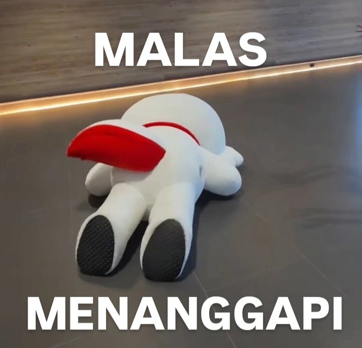janhaeyo's tweet photo. new meme unlocked 🔓 https://t.co/Z4E7YWFoJj