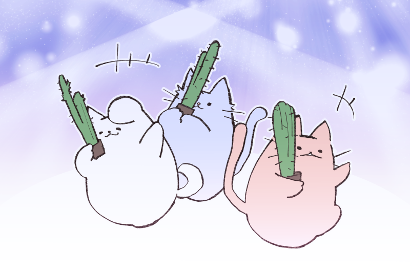 io_X_yo's tweet photo. TLをサボテン抱えたマンネたちとキャリーケース担いだジュンソが駆け抜けていった…あれはなに…… https://t.co/j4ONBKf0Dc