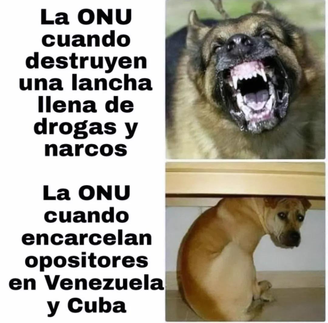 RocioInfantesb's tweet photo. La ONU es un despropósito. https://t.co/EYR1PmQ56f