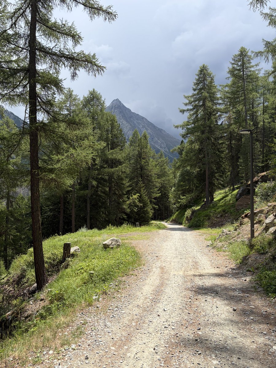 SaastalFotos's tweet photo. On our way today from Saas-Fee to Saas-Almagell. Above Mattmark the sky was dark and we heard thunder, but we stayed dry.
#saasfee #saasalmagell #mattmark https://t.co/hZo3tlMnbd