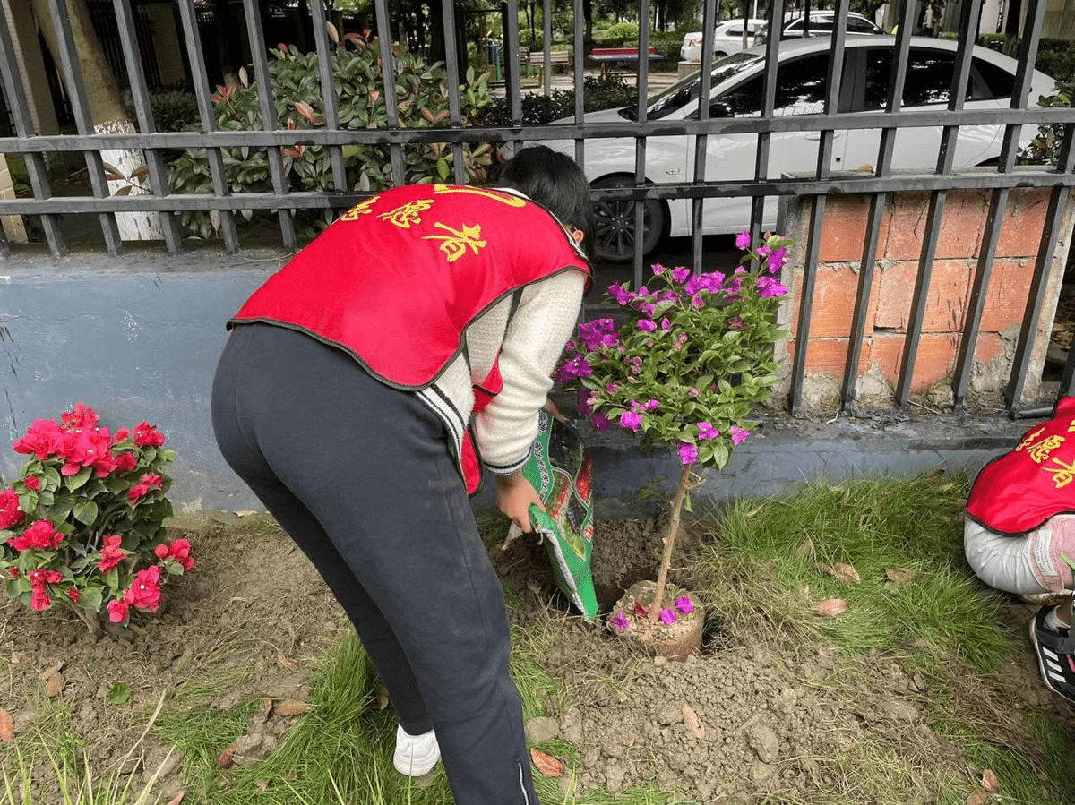 FrankWinands's tweet photo. Just wrapped a 3-day community garden volunteer project! Planted 200+ trees, shared homemade snacks with neighbors u0026 saw a tiny patch of empty dirt turn into a green spot. Grateful for every helping hand  #VolunteerLife https://t.co/7Hfd2G32TI
