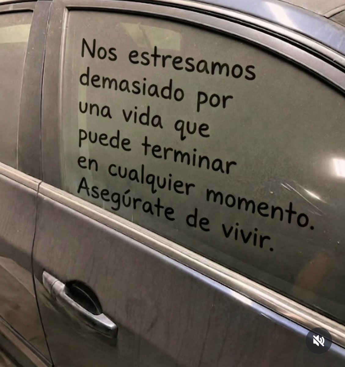 trincado_yadira's tweet photo. 🥰❤️❤️💯💯🙏 https://t.co/jRSxrQikKa