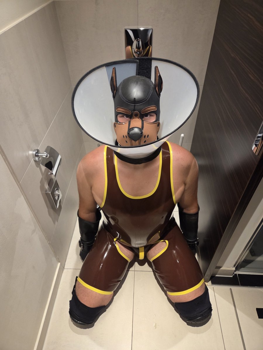 pup_fetch's tweet photo. What next? 🐷😈 https://t.co/GsK8ioJno7