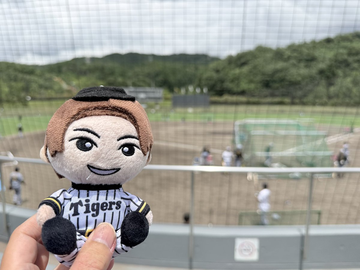 🐯虎ファンあっきぃ🐯 (@Toranshin_fam) / Posts / X