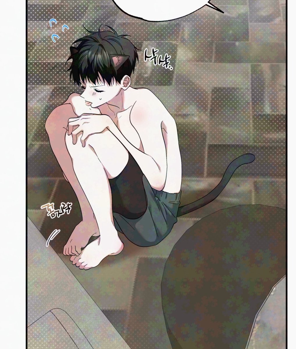 BABE_069's tweet photo. 고양이수 물 들어갔다구 그루밍 챱챱하면서 무서워하니까 공이 물에 캣닢 풀어놓음 그래서 흥분햇어 https://t.co/59y5DhMVNy