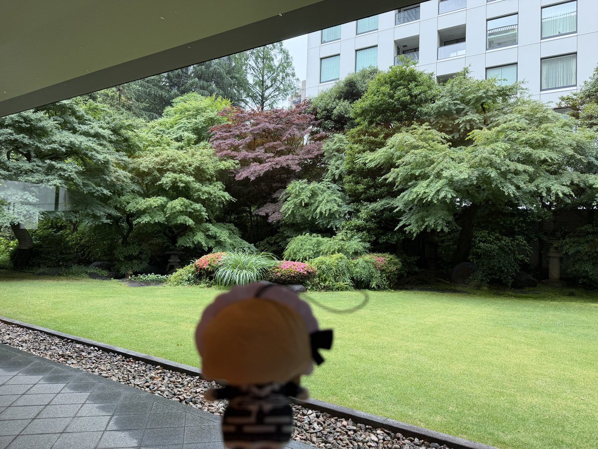 Eg7aA's tweet photo. 🍰🌲🏠 https://t.co/FiSlJyF5Mv