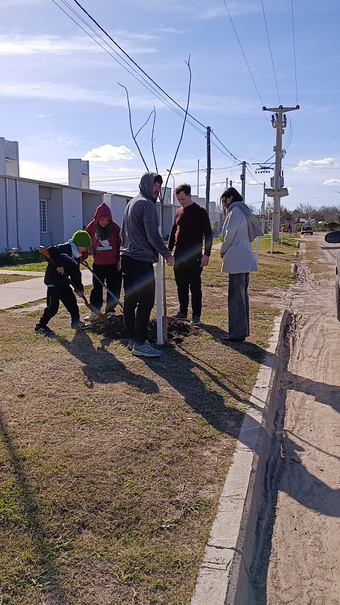 julioblatter's tweet photo. Plantar un árbol es sembrar futuro. Con la nueva plantación en el barrio nuevo, 34 familias contarán con un entorno más saludable, fresco y natural. 🌿 El cambio empieza en casa, cuadra por cuadra. 💚 #ReforestaciónUrbana #SanJeronimoNorte #Naturaleza https://t.co/xK7IKK8gM0