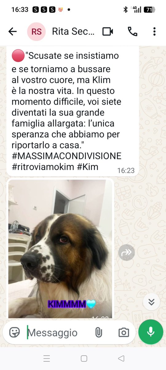 Emilystellaemi2's tweet photo. CERCANO KIM DISPERATAMENTE. STIAMO ASPETTANDO NOTIZIE PIÙ PRECISE.🙏👍🤝 https://t.co/wySNKWfZPv