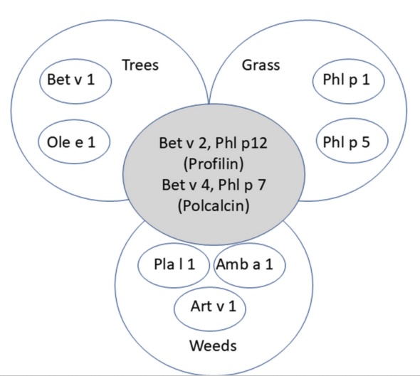 Aller_MD's tweet photo. In vitro #IgE #diagnostics in #inhalant #allergy: #Plant and #mold #allergens. Open Access. https://t.co/ZJdnfOhFXj https://t.co/o1L1km1lVk