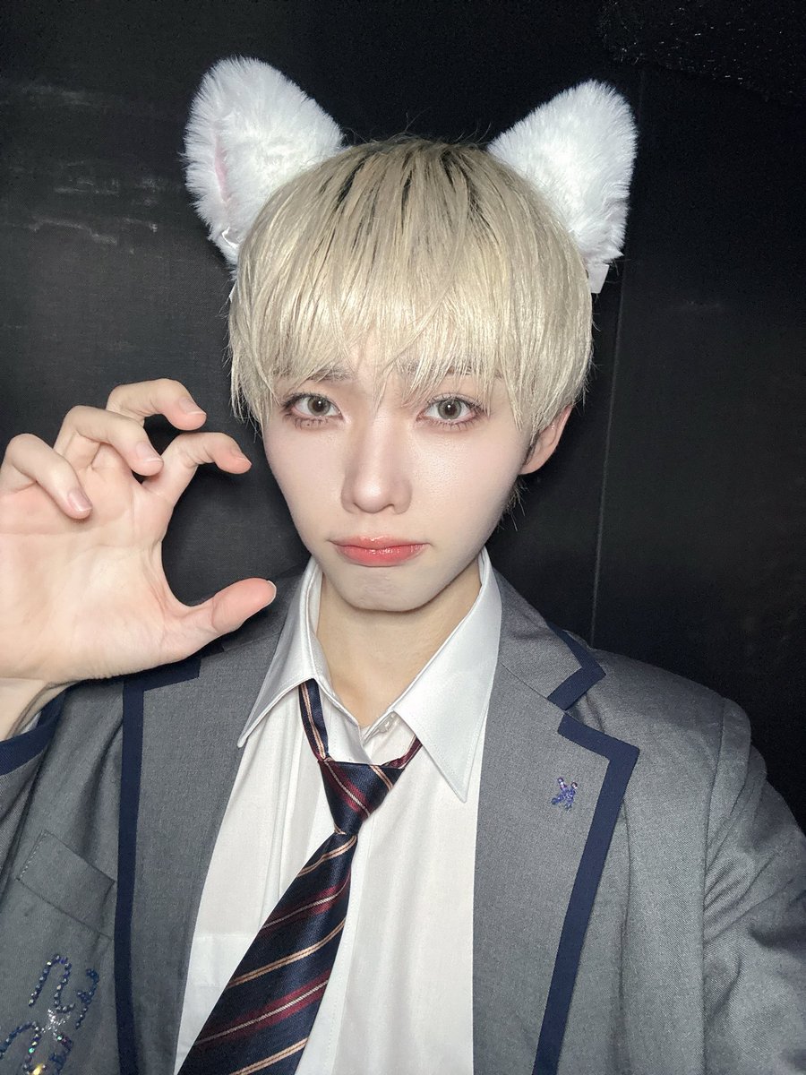kokoro_funfun's tweet photo. わんにゃんどっち派？？ https://t.co/c3lDG6Chbb