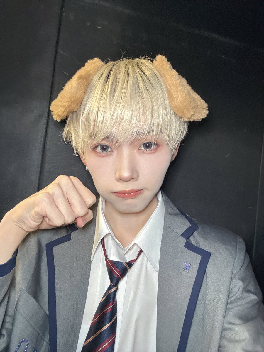 kokoro_funfun's tweet photo. わんにゃんどっち派？？ https://t.co/c3lDG6Chbb