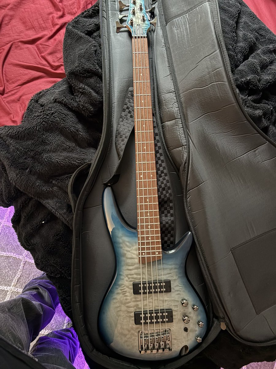 SepsisLTX's tweet photo. Forgot to post the new bass i bought last weekend >:3 https://t.co/aB7nN0LSUX